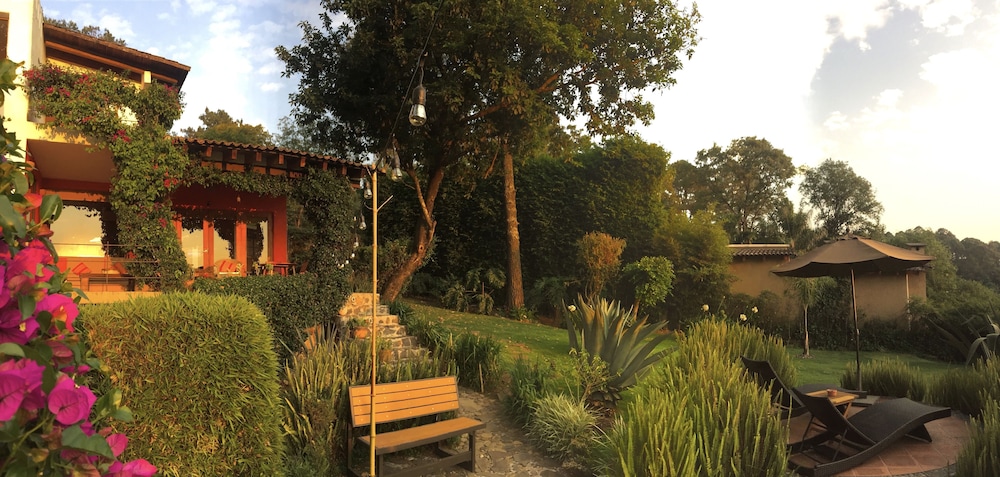 Las Luciérnagas