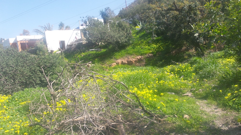 Cortijo La Fuensanta view 2