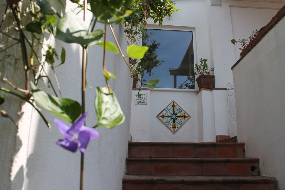 Casa Nostra - It Speaks of Love Family and the sea photo 2