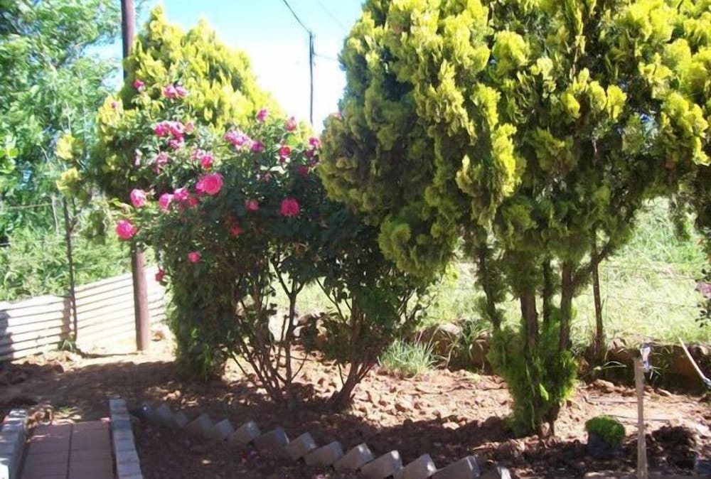 Aligeo Guest House