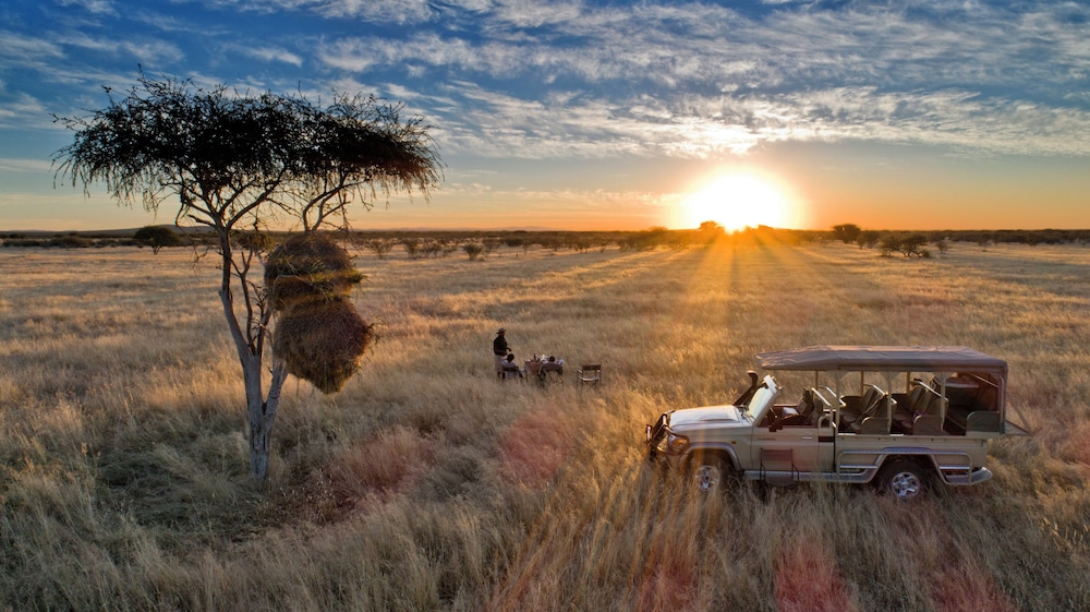 Safarihoek