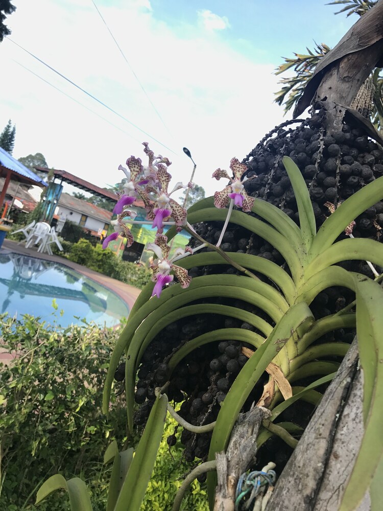 Finca Hotel La Rivera