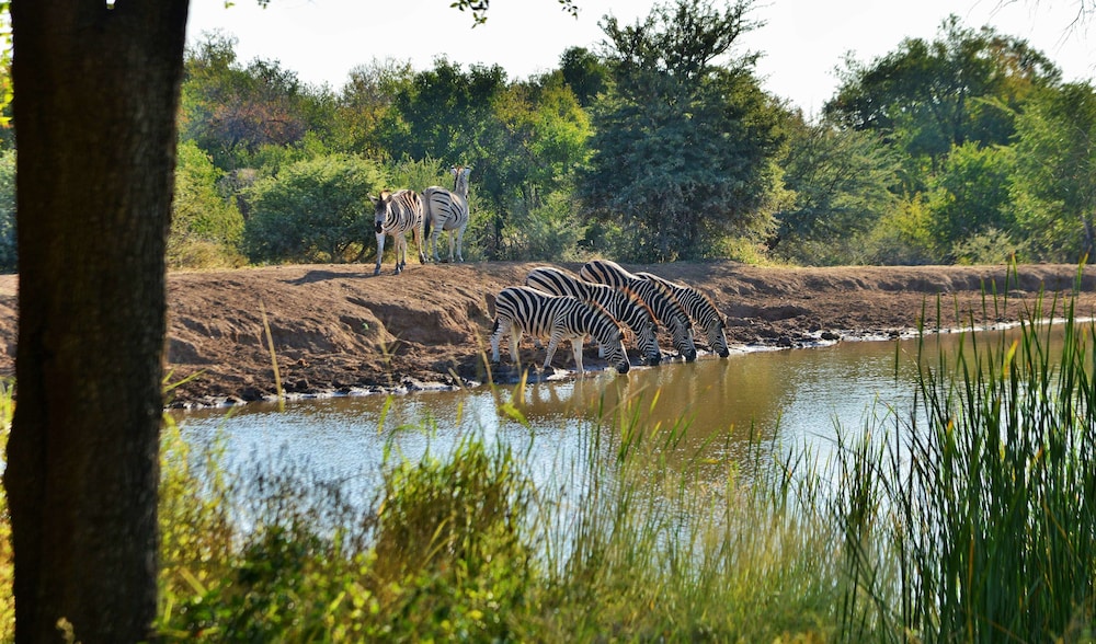Black Rhino Game Lodge