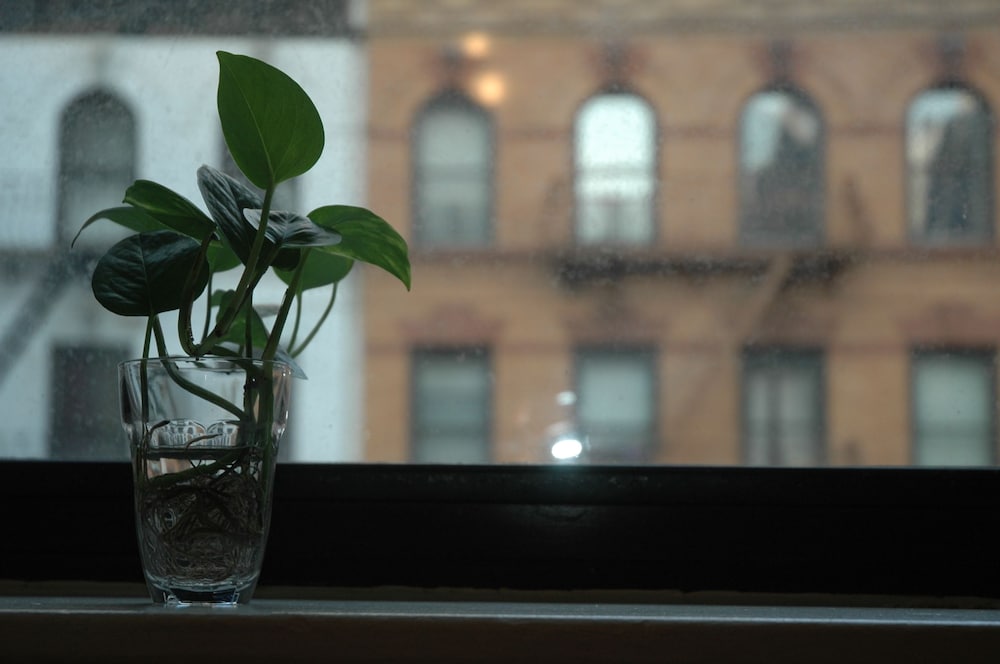 Midtown East 1BR Six DR27 - Image 2