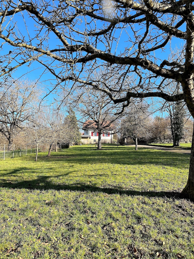 Villa Mai