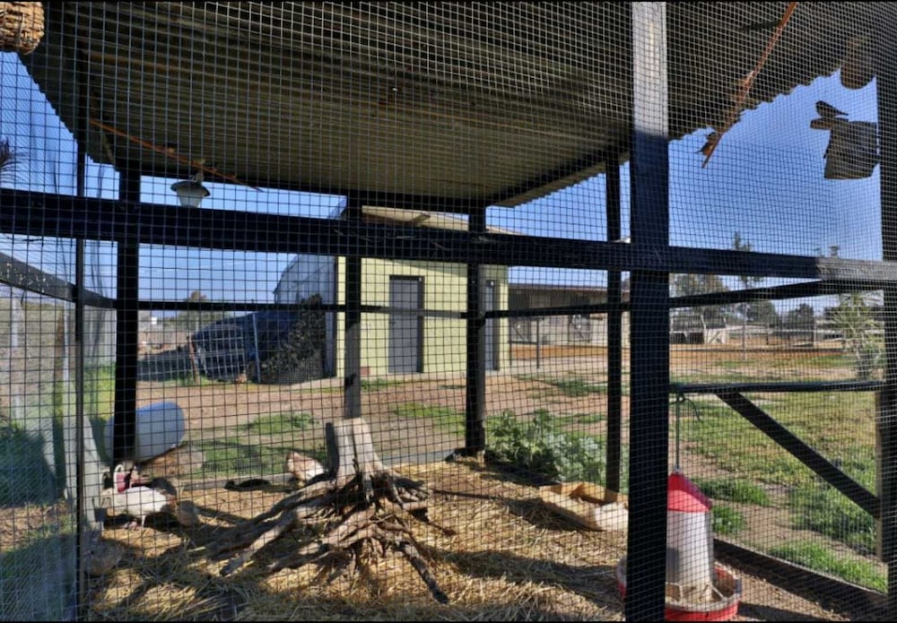 Photo 18