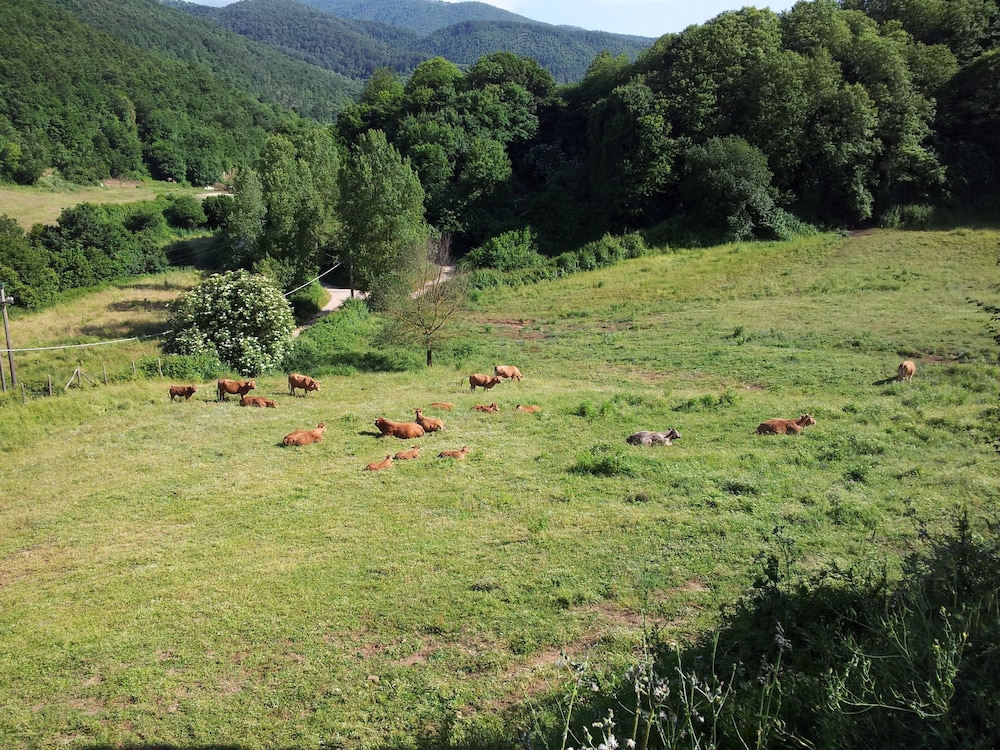 Agriturismo La Rocca dei Briganti
