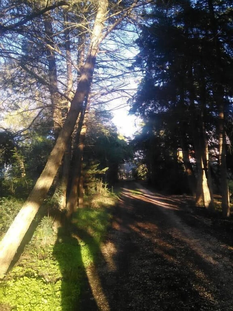 Nature Houses