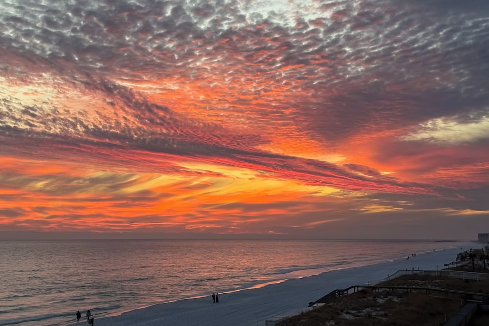 Steps to Beach: Oceanfront w/ Panoramic Gulf Views