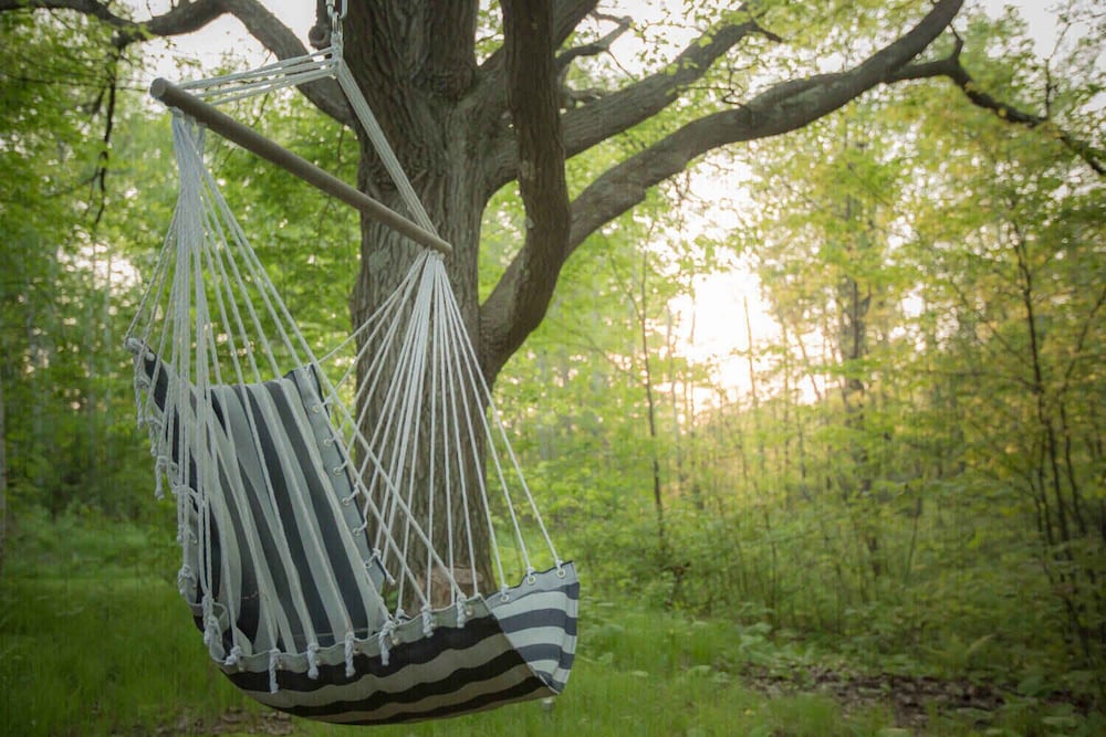 Shire In The Woods