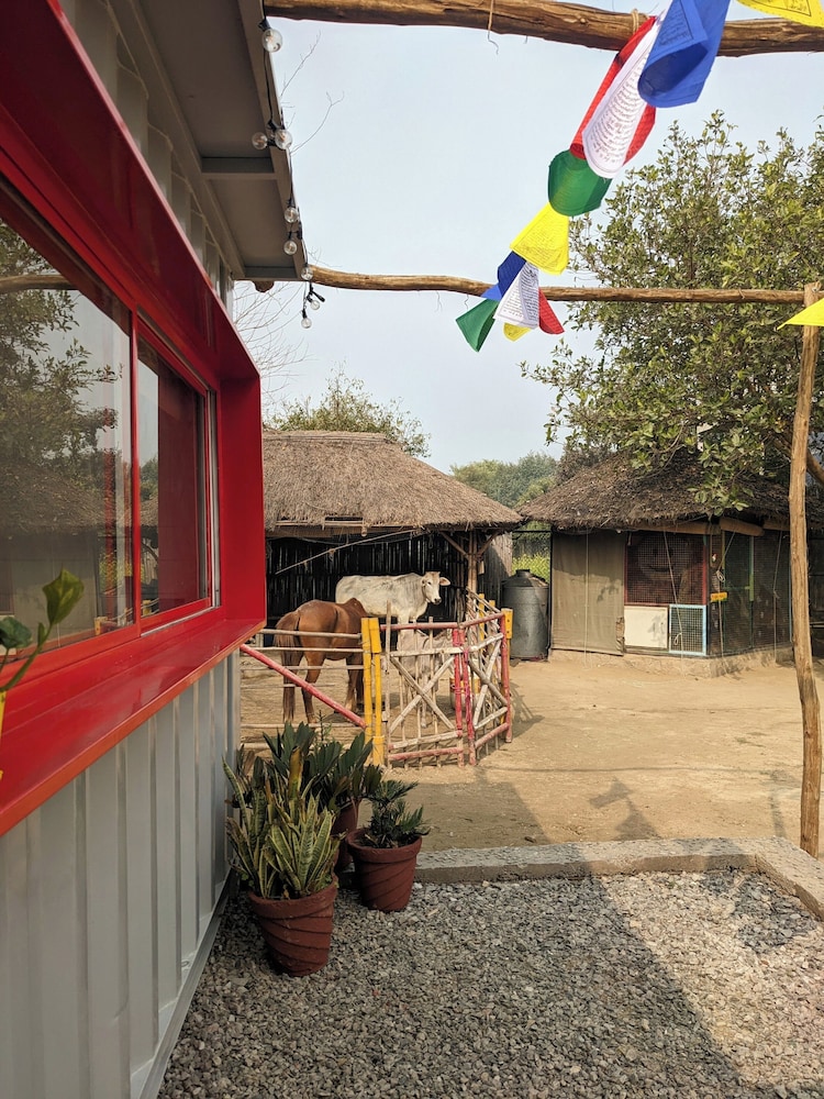 Tuk Tuk Gilhari Noida