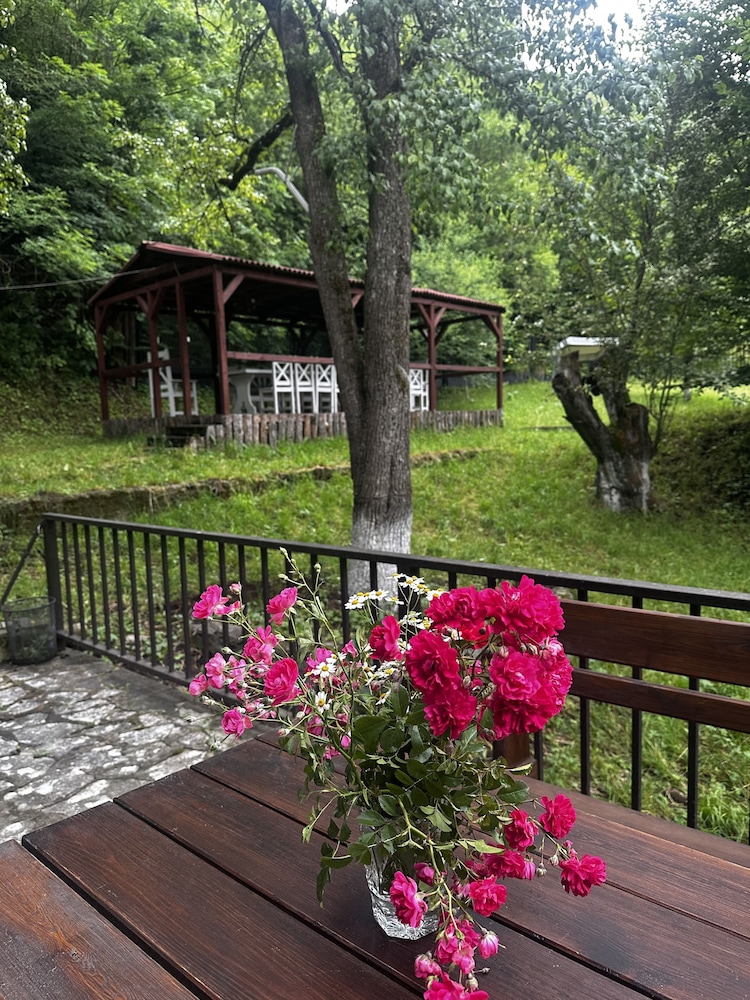 Noor Dilijan