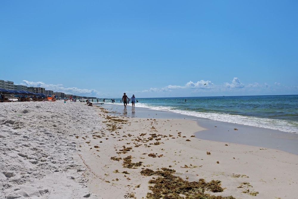 Pelican Isle 411