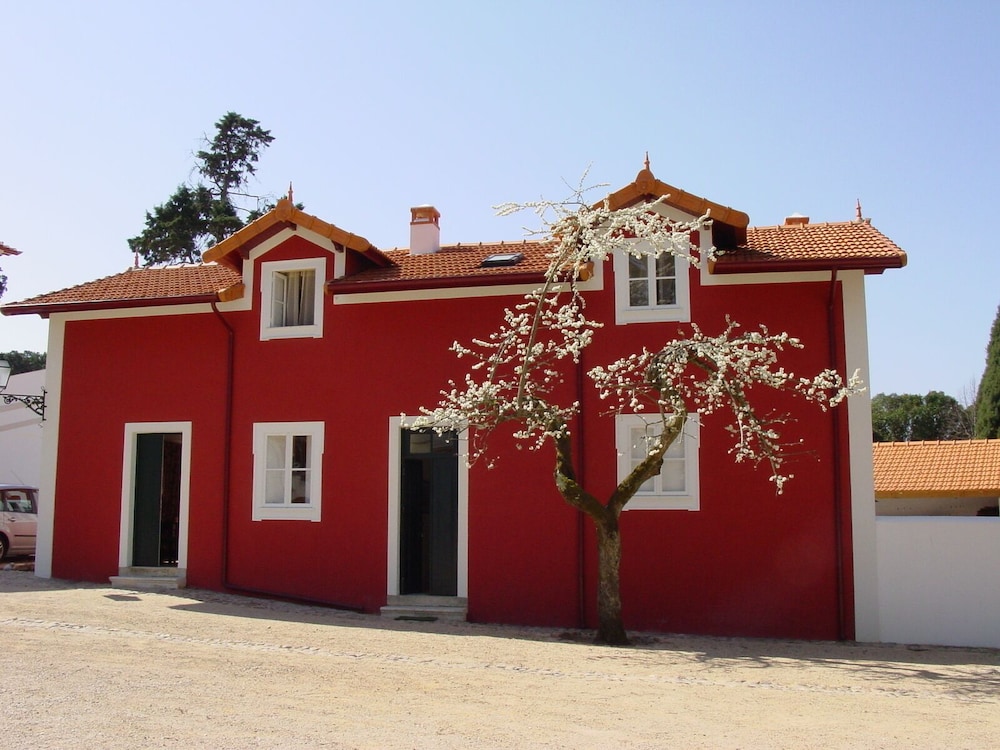 Photo 40