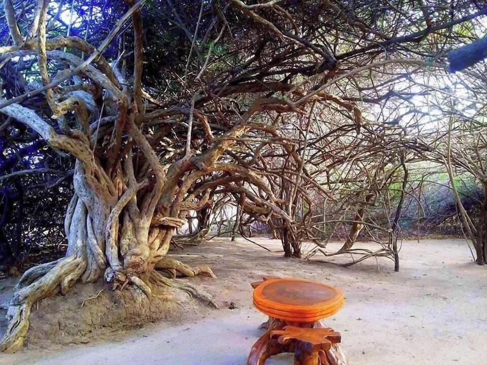 Podi Hoona Yala Safari Camp