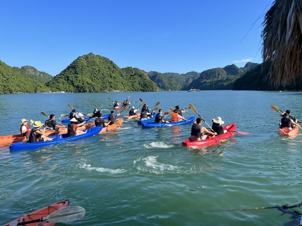 Verdure Lotus Luxury Cruise on Lan Ha Bay - Image 2