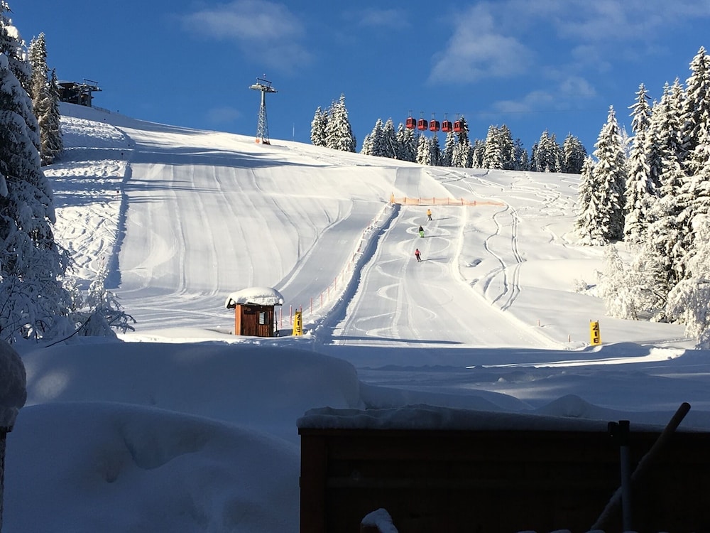 Chalet Haberlhütte