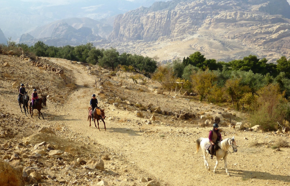 Petra Bed & Breakfast