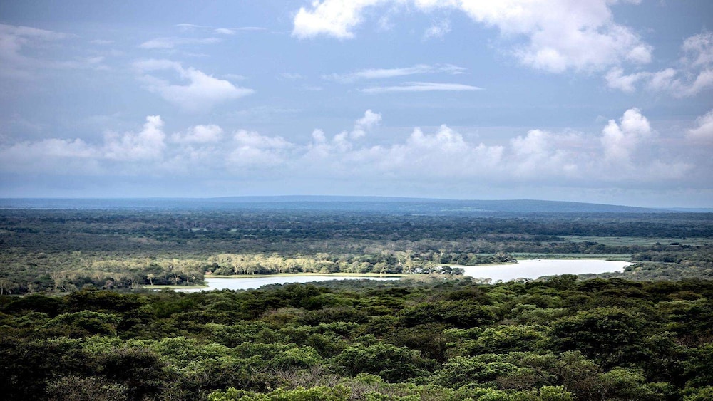 Royal Thonga Safari Lodge