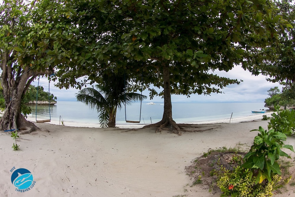 Thresher Cove Dive Resort - Property Image 22