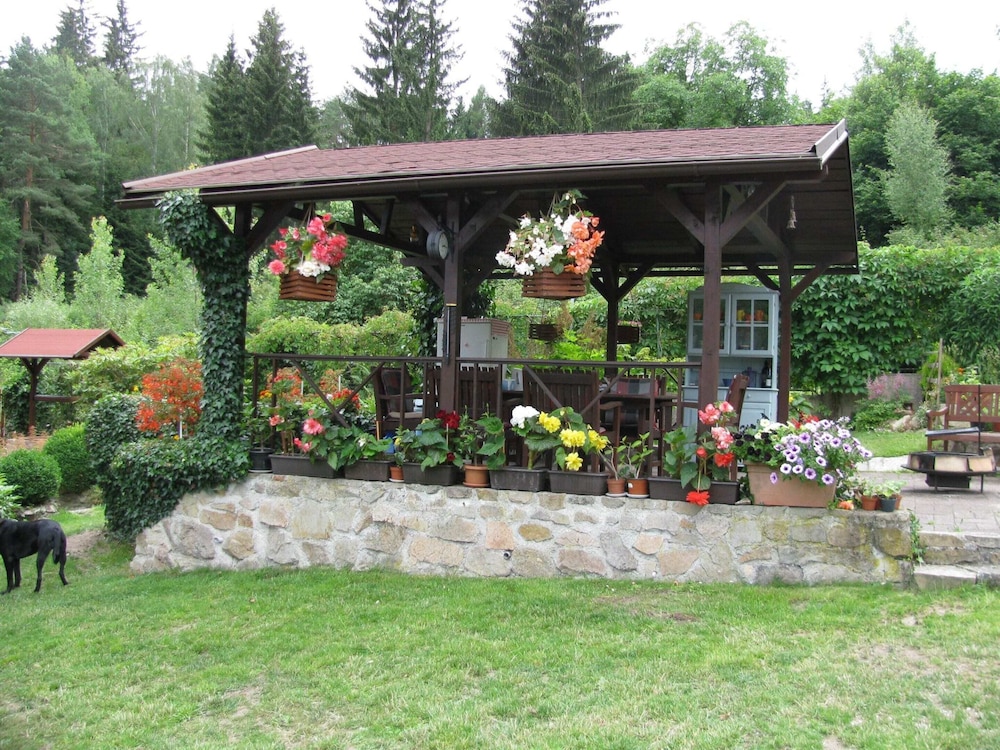 Photo 8