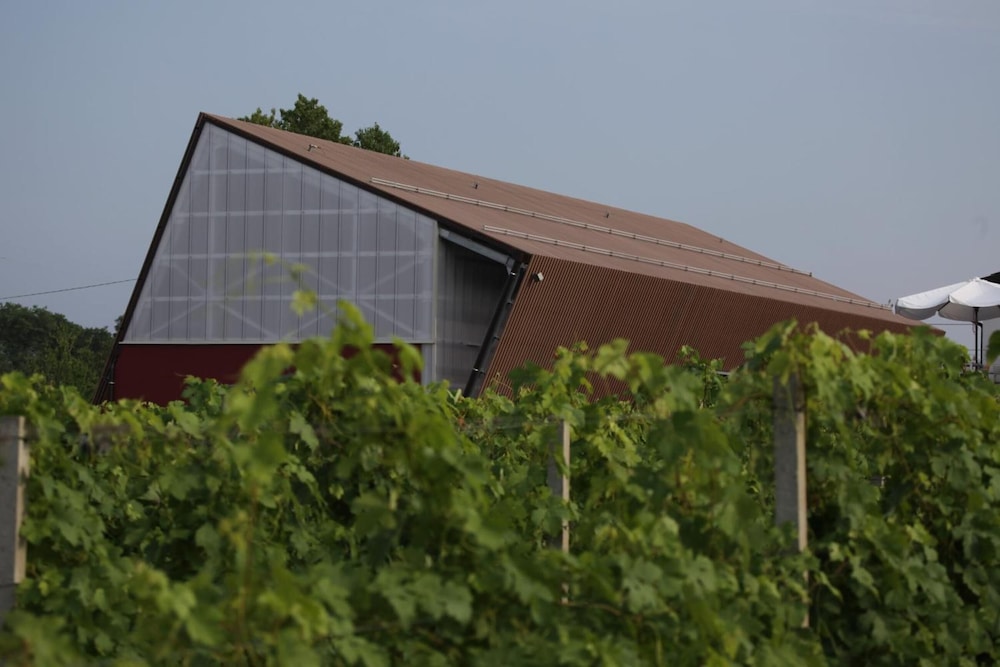 Eco Bio Agriturismo La Bella Vite
