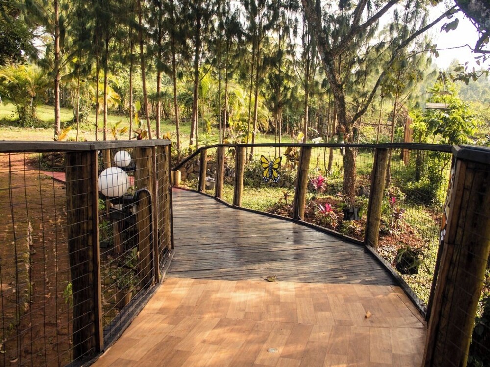 Jasiri Cottage Kakamega