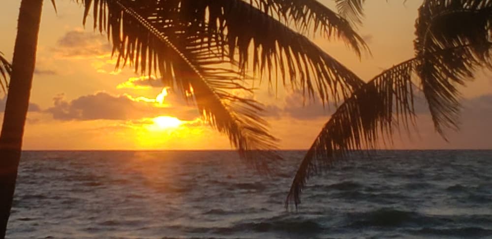 Belize Vacations - Pal's on the Beach - A Gold Standard Hotel - Property Image 11