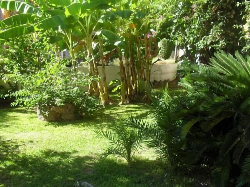 Hostal Escandinavia