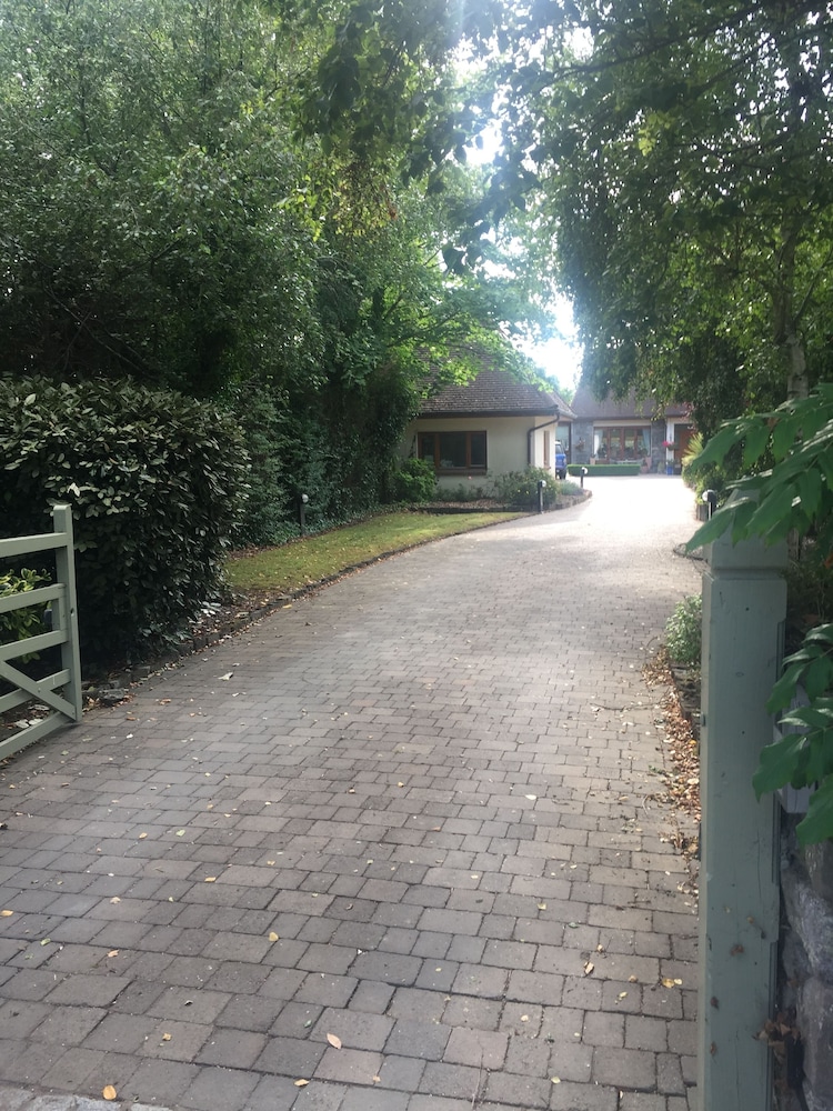 The Lodge