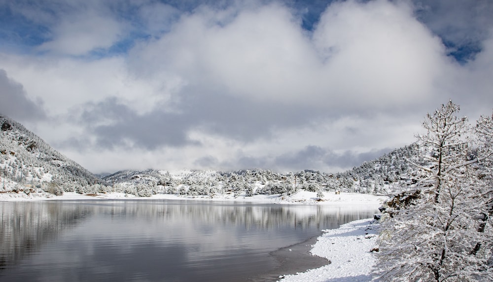 Solitude Condos - Estes Park CO