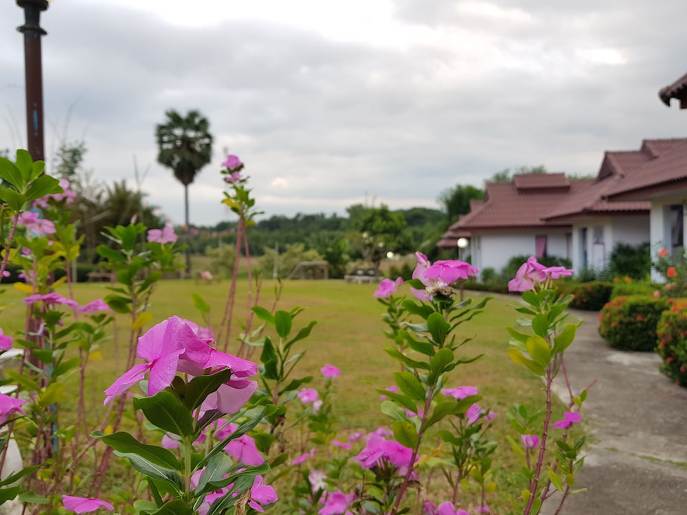 Mae Klang Banyen Hill