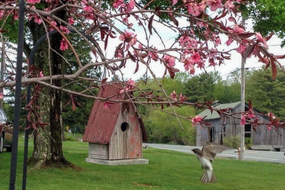 Hike, Fish, Ski & More: Spacious Gem in Catskills!