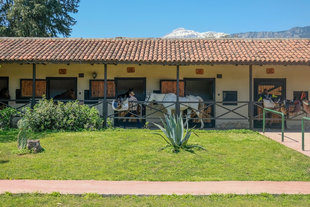Berke Ranch & Nature - Özel Sınıf - Image 61