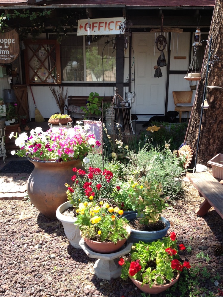 Mountain Haven Inn - Property Image 26