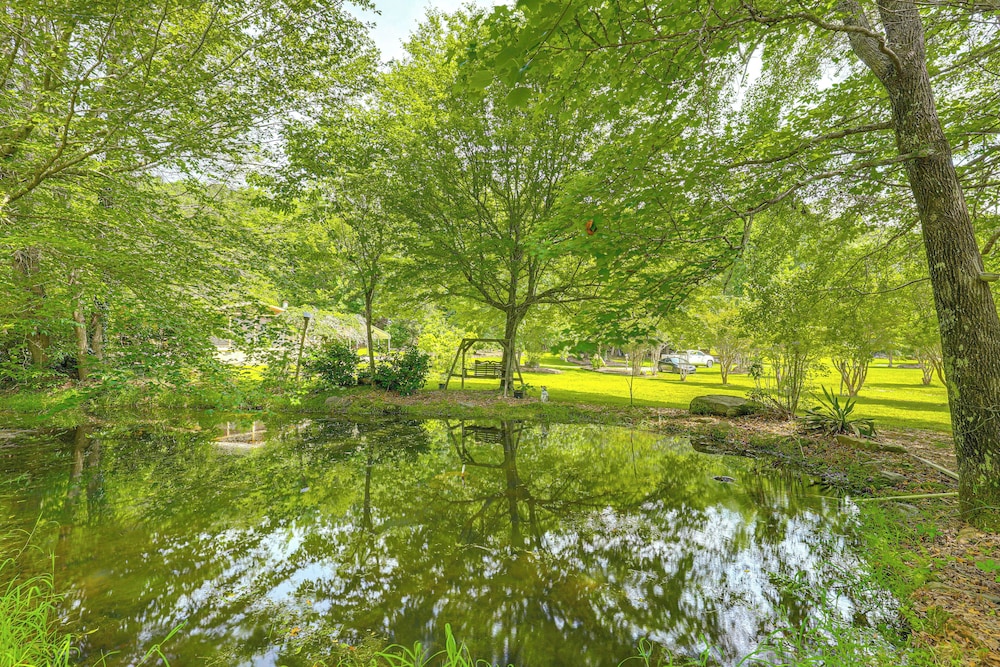 On-site Pond & Creek: Serene Cabin by Caesars Head