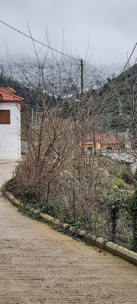 ZografosHome