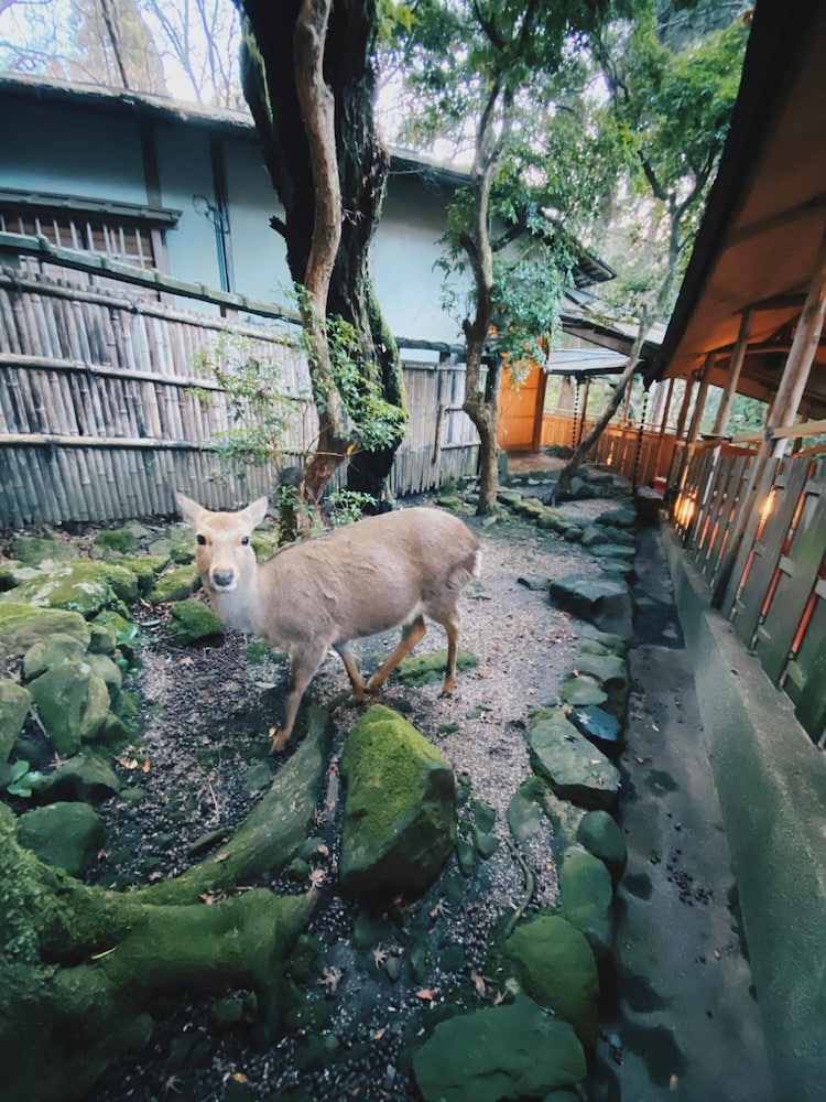 Tsukihitei Ryokan
