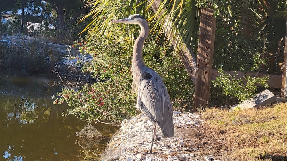 Beach Racquet B by Tybee Vacation Rentals