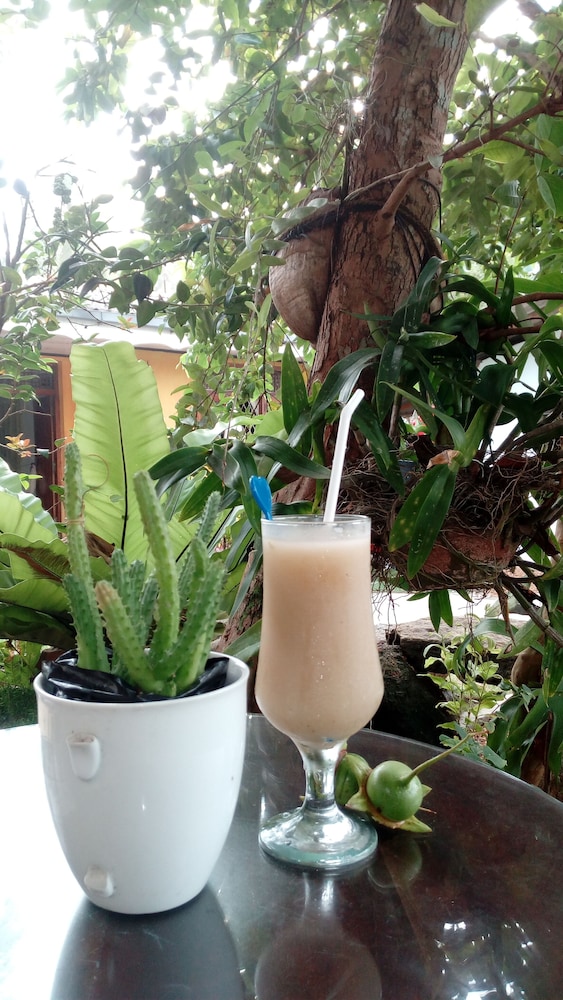Dinesh Homestay