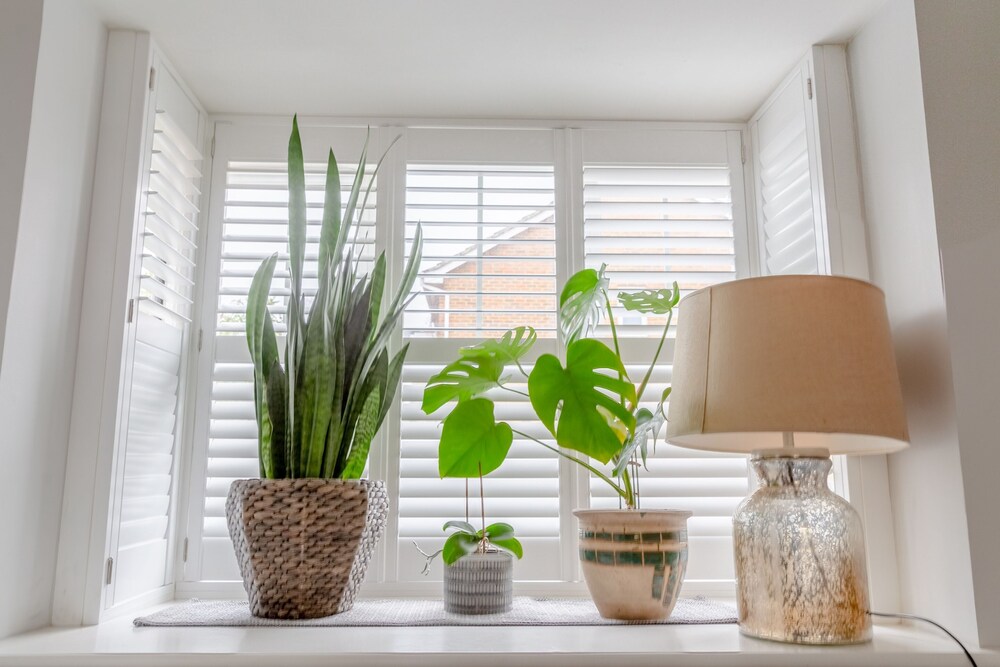 Serene and Spacious 2 Bedroom House in South Wimbledon
