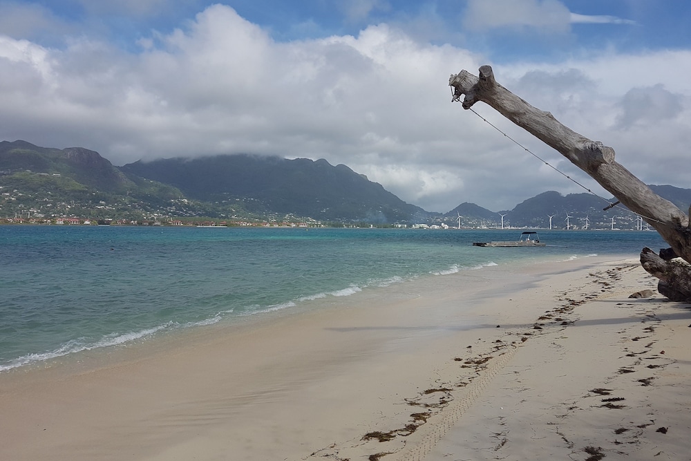 Fairytern Chalets photo 5