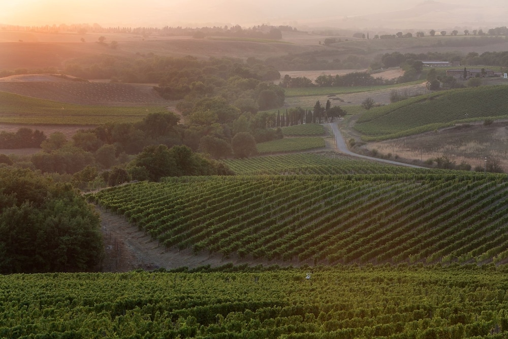 Agriturismo A. Bonacchi