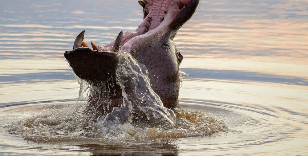 Elandela Private Game Reserve & Luxury Lodge