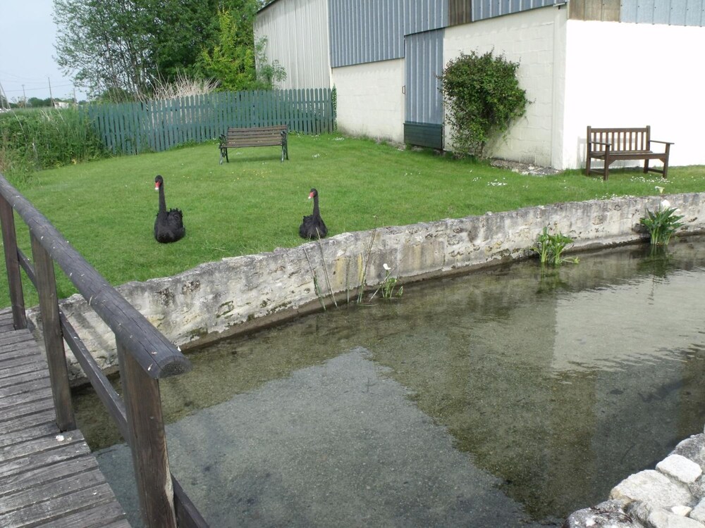 Photo 28