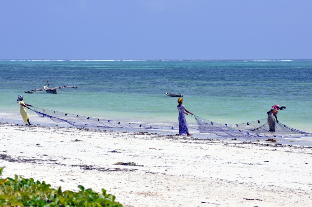 Photo 31