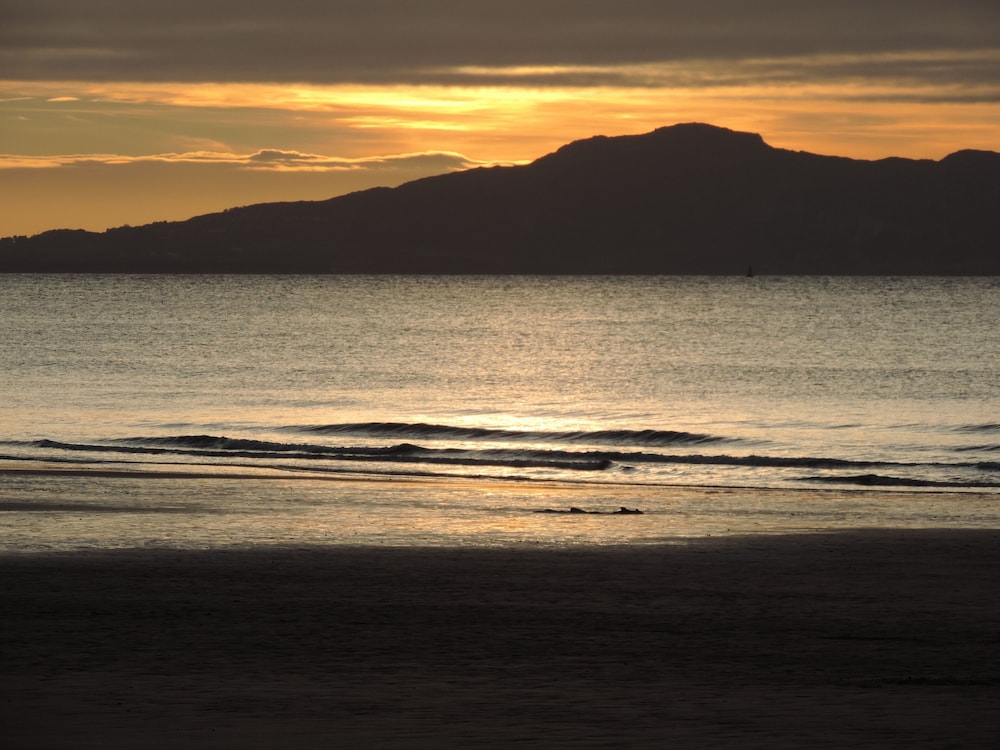 Bryn Môr