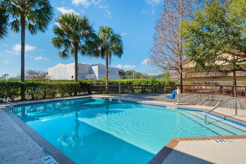 Rodeway Inn Tampa near Busch Gardens - USF, Bilde 4