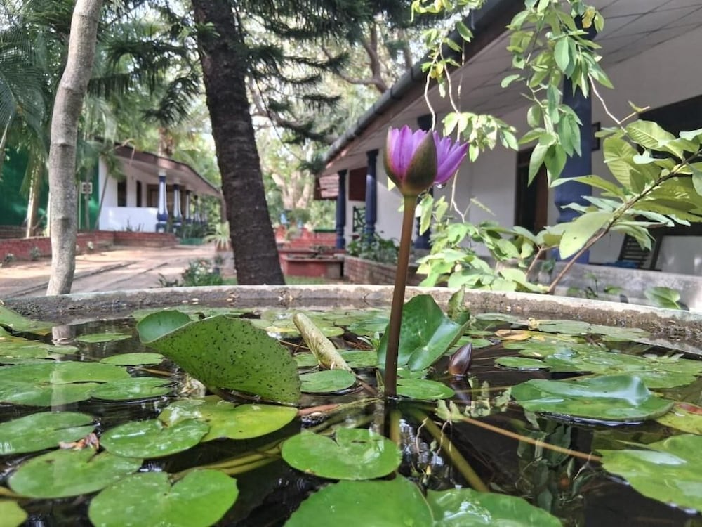 Nature Lodge Habarana