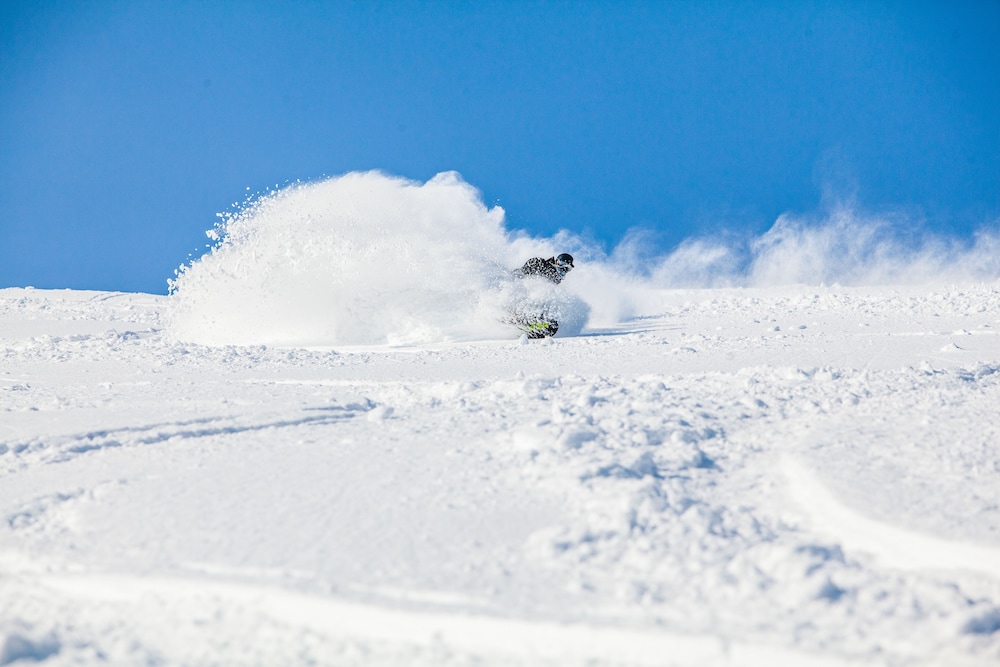 Holiday Niseko Snowbird